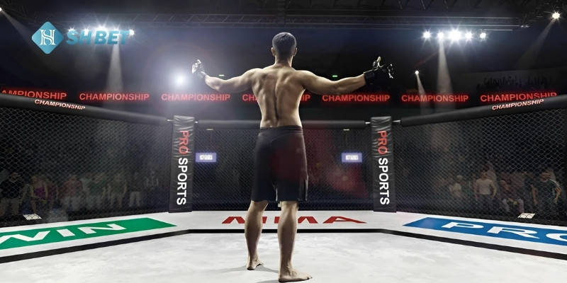 Cá cược MMA SHBET
